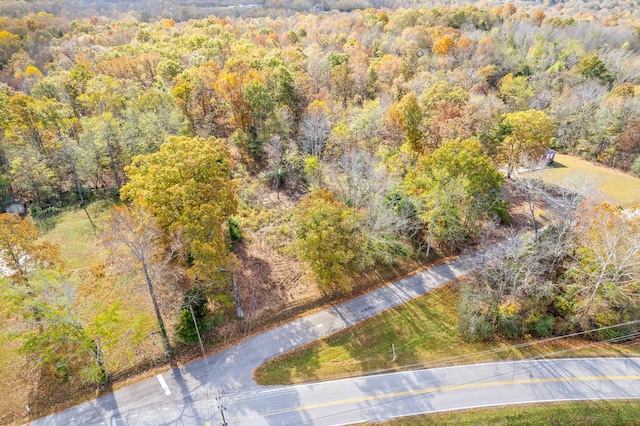 1402 Moore Ln, Southside, TN 37171 - photo 20