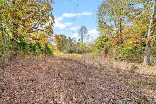 1402 Moore Ln, Southside, TN 37171 - photo 9