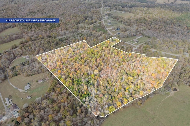 1402 Moore Ln, Southside, TN 37171 - photo 28
