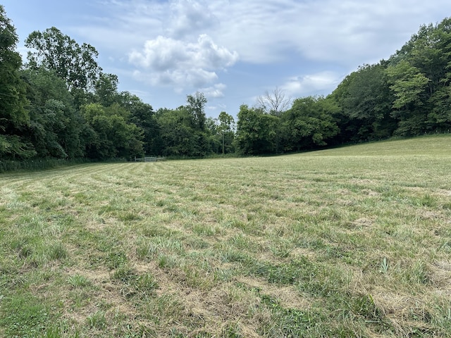 view of yard featuring a rural view