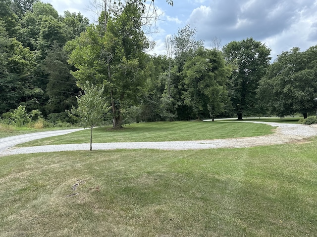 view of property's community featuring a lawn