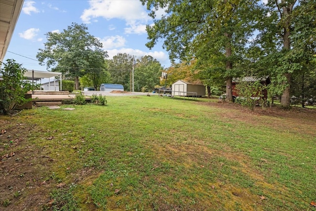 view of yard with a storage unit