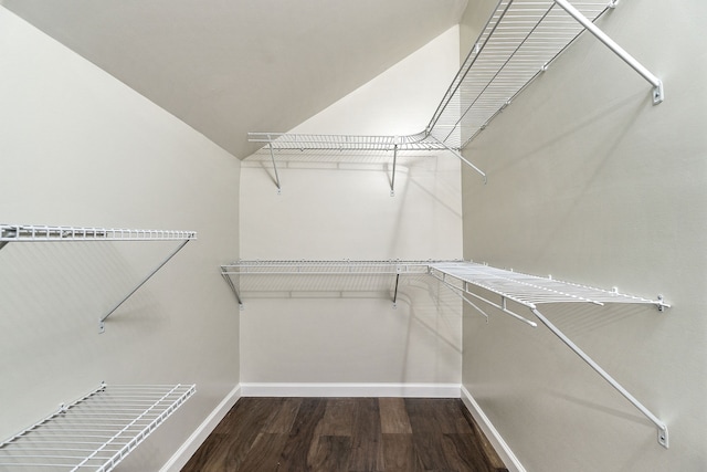 spacious closet with wood-type flooring