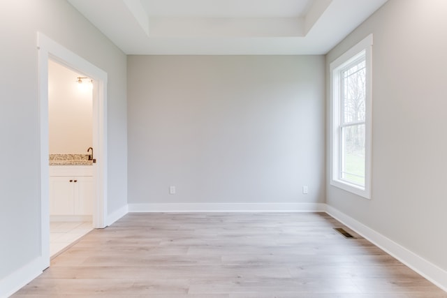 empty room featuring light wood-type flooring, a wealth of natural light, and a tray ceiling