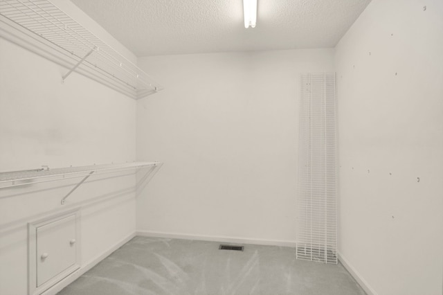 walk in closet with light carpet