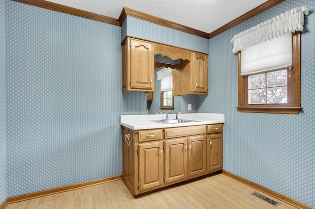 kitchen with plenty of natural light, sink, and light wood-type flooring