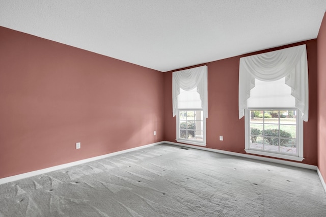 unfurnished room with carpet and a textured ceiling