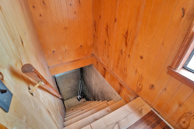 interior space featuring wood-type flooring and wooden walls