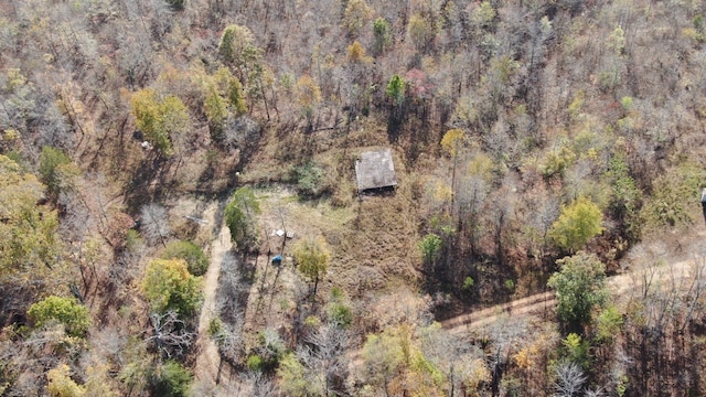 410 Hogg Hill Rd, Lobelville TN, 37097 land for sale