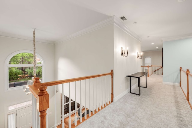 hallway with carpet floors and ornamental molding