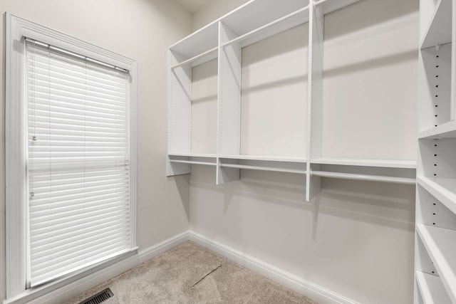 spacious closet featuring carpet floors