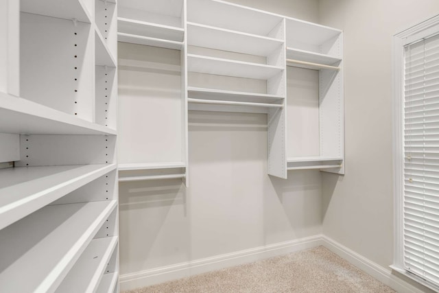 walk in closet featuring carpet flooring