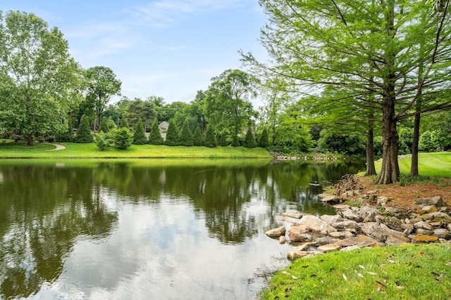 property view of water