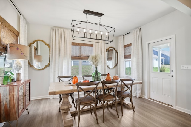 dining area featuring a wealth of natural light, a notable chandelier, and hardwood / wood-style flooring