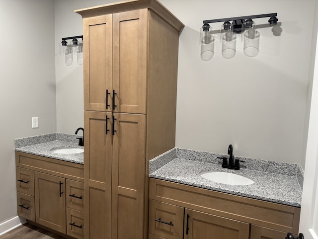 bathroom featuring wood-type flooring and vanity