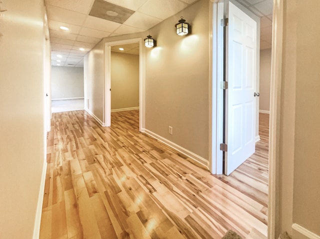 hall featuring light hardwood / wood-style floors and a drop ceiling