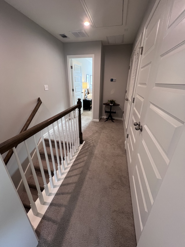 stairway featuring carpet flooring