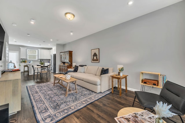 living room featuring dark hardwood / wood-style flooring