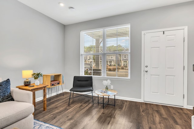 living area featuring dark wood-type flooring