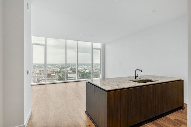 kitchen with expansive windows, light hardwood / wood-style floors, sink, and a kitchen island with sink