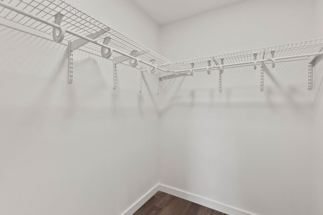 spacious closet featuring hardwood / wood-style floors