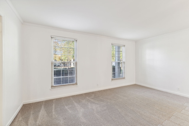 carpeted spare room with ornamental molding