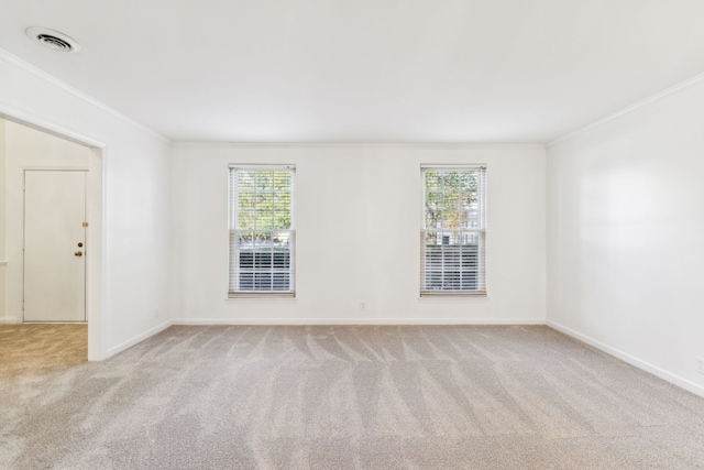 carpeted empty room with a wealth of natural light and crown molding