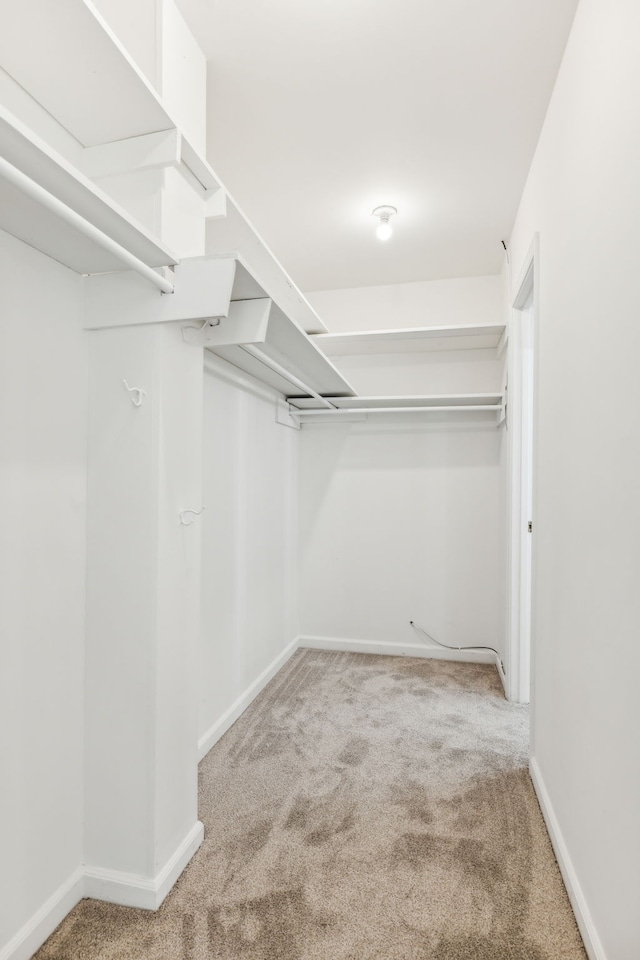 spacious closet featuring light colored carpet