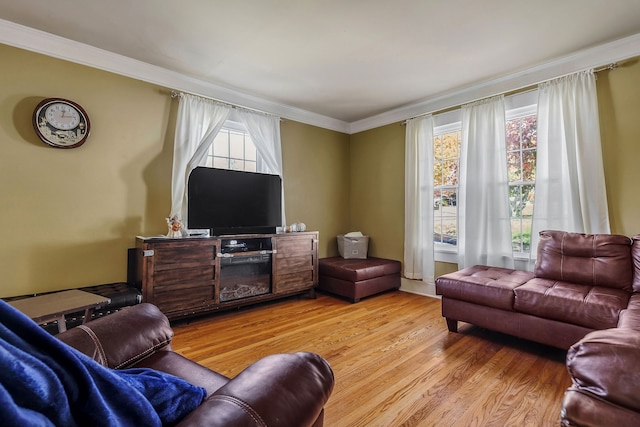 living room with light wood-type flooring and crown molding