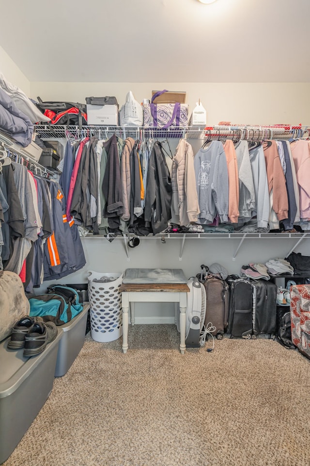 view of spacious closet