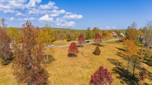 0 Raulston Falls Rd, Jasper TN, 37347 land for sale