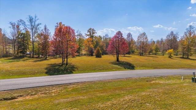 Listing photo 3 for 0 Raulston Falls Rd, Jasper TN 37347