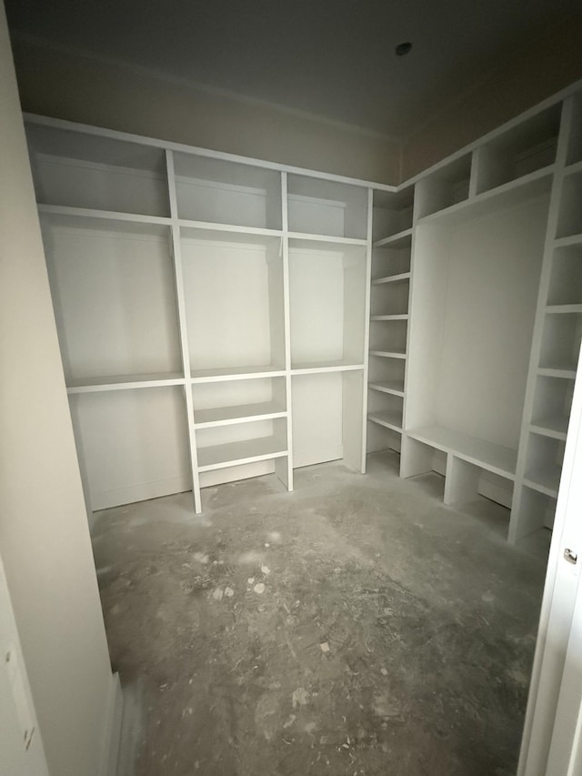 17 Solitude Way, Clarksville, TN 37043 - view of walk in closet