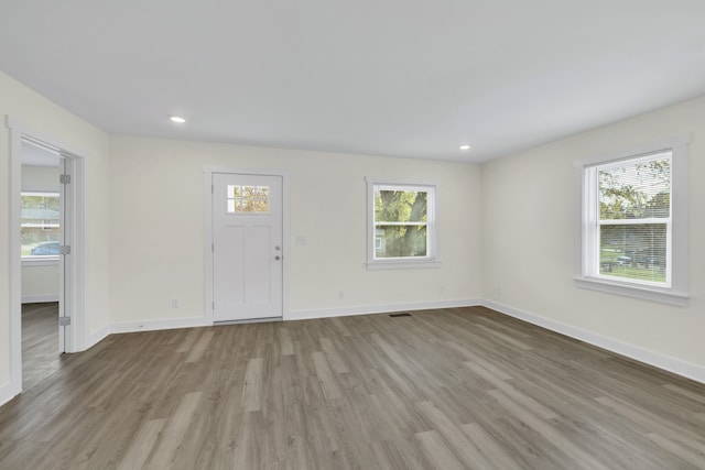 foyer featuring light wood-type flooring and a wealth of natural light