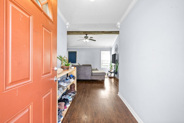 foyer entrance with ceiling fan, crown molding, and dark hardwood / wood-style flooring