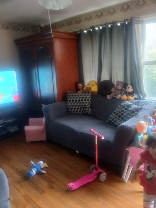 living room featuring hardwood / wood-style floors