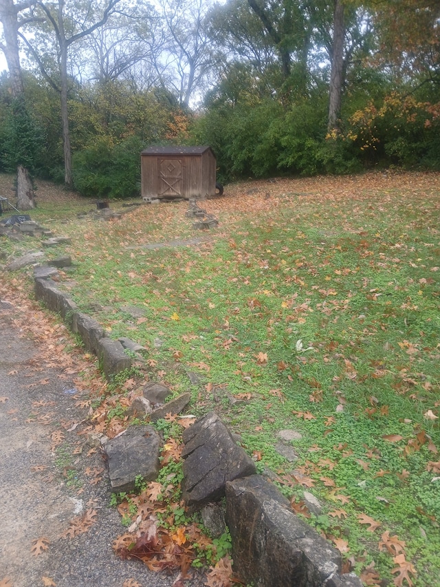 view of yard featuring a shed