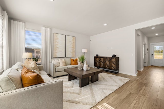 living room featuring light hardwood / wood-style flooring