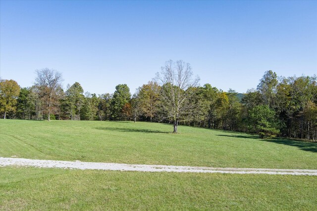 308 Huse Watson Rd, Oakdale, TN 37829 - view of property's community featuring a lawn and a view of trees