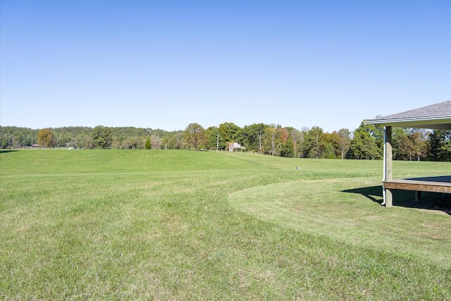 308 Huse Watson Rd, Oakdale, TN 37829 - view of green lawn