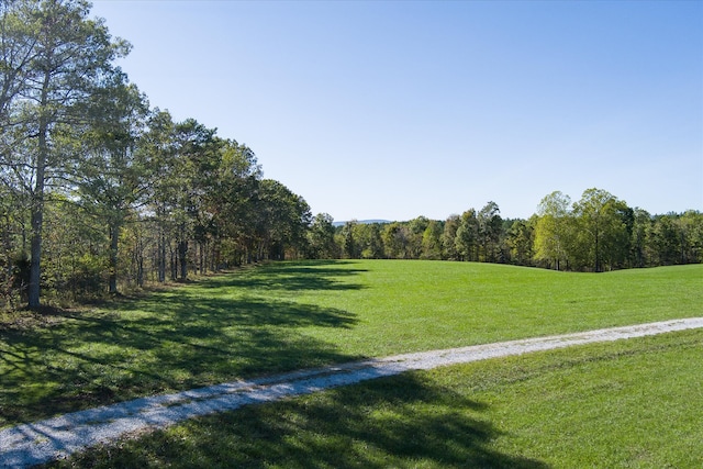 view of community with a yard