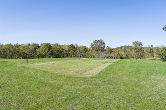 view of yard featuring a rural view