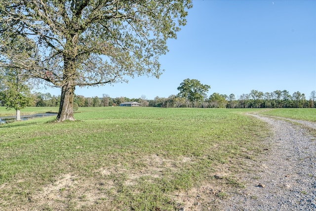 view of yard featuring a rural view