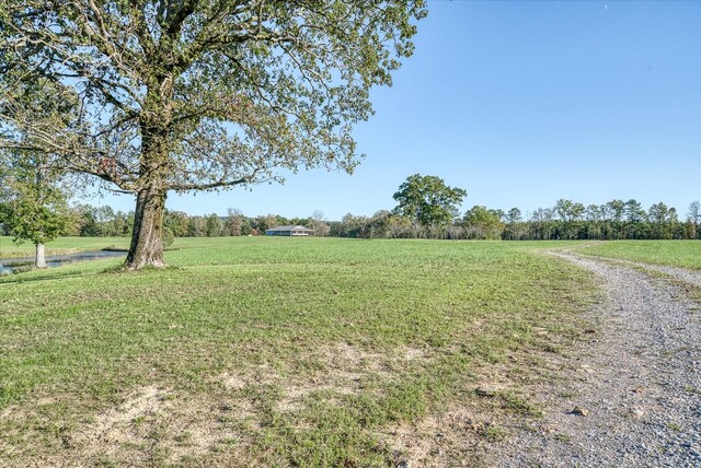 308 Huse Watson Rd, Oakdale, TN 37829 - view of green lawn with a rural view