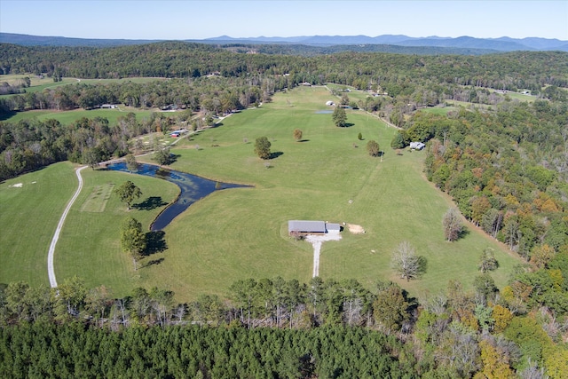 birds eye view of property with a mountain view