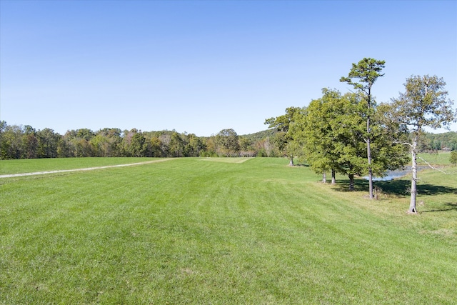 view of yard featuring a rural view