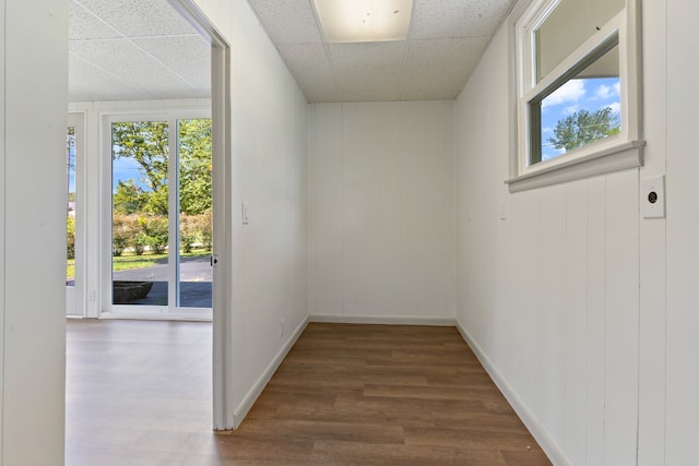 interior space with wood-type flooring and a drop ceiling