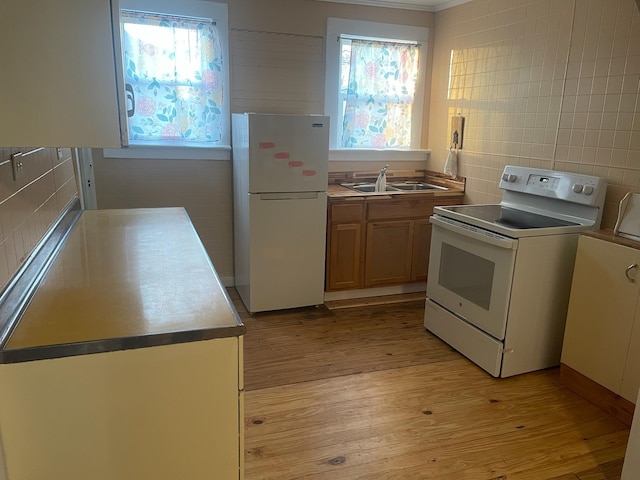 kitchen with sink, light hardwood / wood-style floors, and white appliances