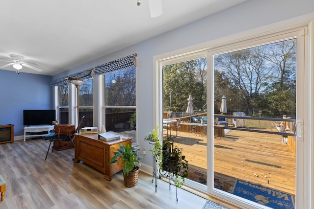 interior space featuring hardwood / wood-style flooring and ceiling fan