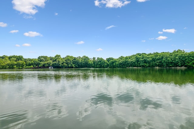 property view of water